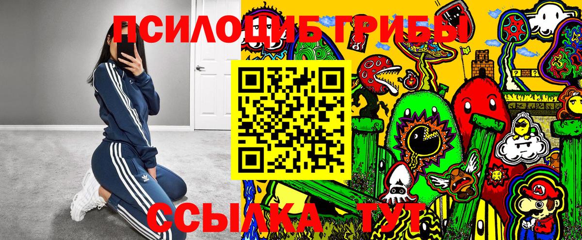 Курчатов  Галлюциногенные грибы ЛСД  Вход с VPN 