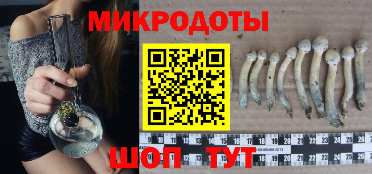 Псилоцибиновые грибы мухоморы Курчатов